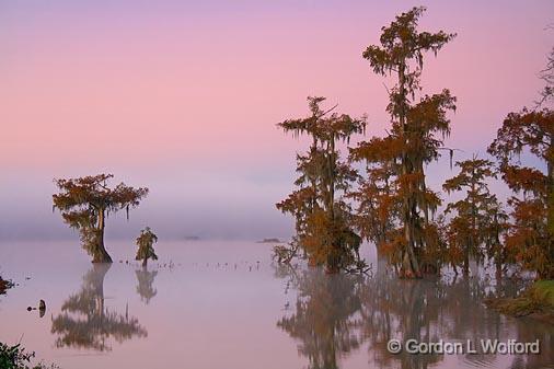 Lake Martin At Dawn_26055.jpg - Photographed in the Cypress Island Preserve near Breaux Bridge, Louisiana, USA.